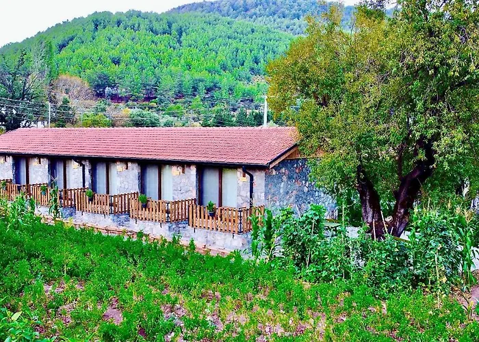 Dedehan Retreat فندق *