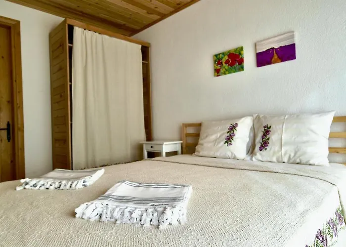 Dedehan Retreat فندق